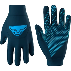 Handschoen Dynafit Unisex Upcycled Speed Gloves Petrol 8050