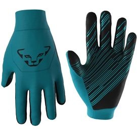 Handschoen Dynafit Unisex Upcycled Thermal Gloves Ocean 0910