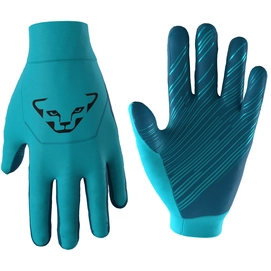 Handschoen Dynafit Unisex Upcycled Thermal Gloves Silvretta 8560