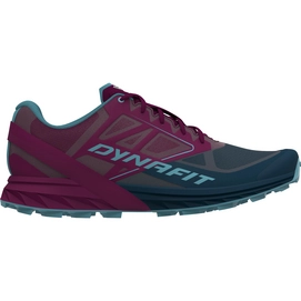 Running Shoes Dynafit Men Alpine Blueberry Burgundy