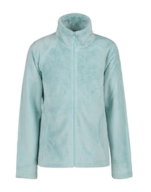 Pull de Ski Icepeak Kids Keene Jr Midlayer Jacket Light Green