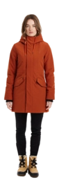 resize (51)-_no-bg