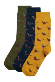 Socks Barbour Men Pheasant Gift Box Forest Mist