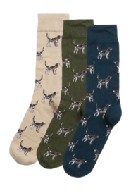Sok Barbour Men Pointer Dog Socks Gift Box Forest Mist