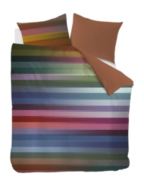 5---249349_10-_no-bg