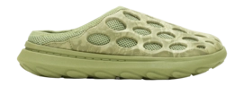 J006986-_no-bg