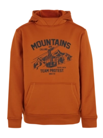 Trui Protest Boys Prtkestrel Jr Hoody Umberorange