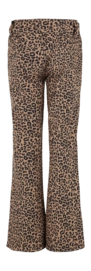2---resize (2)-_no-bg