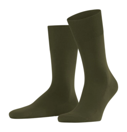 Chaussettes Falke Men ClimaWool SO Artichaut