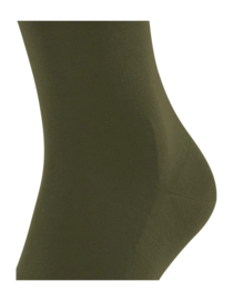 4---1421046-637169a67b8ed-_no-bg