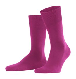 Socken Falke ClimaWool SO Herren Berry