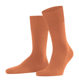 Socken Falke ClimaWool SO Herren Tandoori