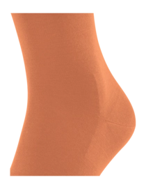 4---1420994-63716991c003b-_no-bg