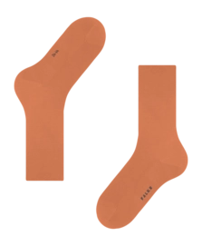 5---1421000-63716994e1e67-_no-bg
