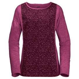 Longsleeve Jack Wolfskin Moro Panel Longsleeve Amethyst Damen