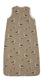 5---660x1200-_no-bg