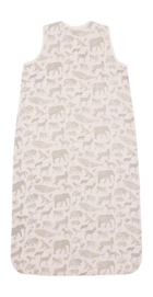 2---647x1200-_no-bg