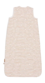 2---id1528922-1-_no-bg