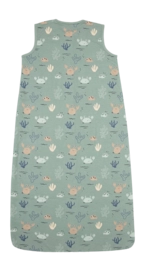 2---669x1200-_no-bg