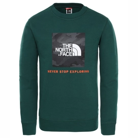 Trui The North Face Youth Box Crew Night Green