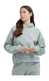 Pull à Capuche New Balance Femme Linear Heritage Brushed Back Fleece Hoodie Juniper