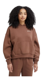 Pull à Capuche New Balance Femme Linear Heritage Brushed Back Fleece Hoodie Pinecone