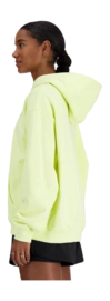 4---wt41537llt_71-_no-bg