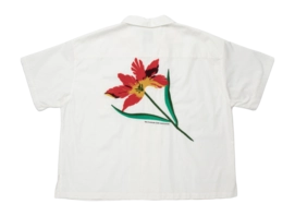 2---image (43)-_no-bg-_no-bg