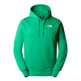 Pull à Capuche The North Face Homme Seasonal Drew Peak Pullover Light Optic Emerald