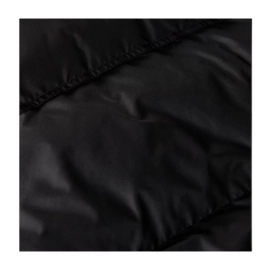 9---download - 2024-02-29T123043.851-_no-bg
