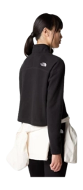 download (35)-_no-bg