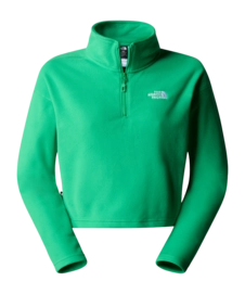 Pullover The North Face 100 Glacier Cropped 1/4 Zip Damen Optic Emerald
