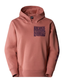 Trui The North Face Women Mountain Play Hoodie Light Mahogany