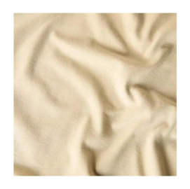 7---download - 2024-02-27T154305.082-_no-bg