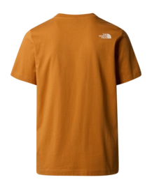 2---87NT_PCO_ALT1-_no-bg