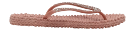 CHEERFUL03G_900_1-_no-bg