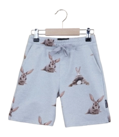 Shorts SNURK Kids Bunny Bums Grey
