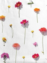 6---Bloom_2880x3840px_4