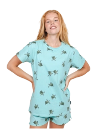 3---sea-turtles-t-shirt-unisex-snurk-3-_no-bg
