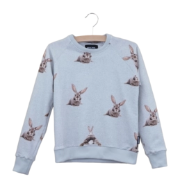 Sweater SNURK Kids Bunny Bums Grey