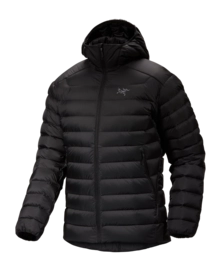 Veste Arc'teryx Homme Cerium Hoody Black 2024