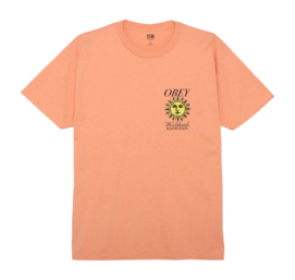 T-Shirt Obey Men Illumination Citrus