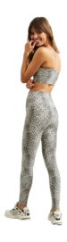 4---2023_Deblon_S24_15-_no-bg