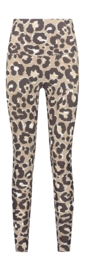 2---D4651_Leopard_Chocolate_Front-_no-bg