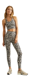 4---2023_Deblon_S24_34-_no-bg