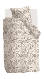 6---321707_10-_no-bg