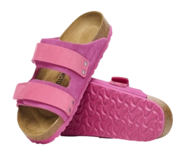 5---1026552_sole-_no-bg
