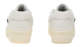 5---2631775-_no-bg