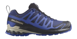 Chaussures de Trail Salomon Homme XA PRO 3D V9 GTX Blue Print Surf The Web Lapis Blue