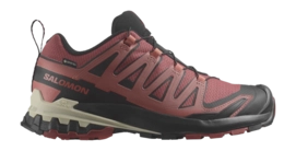 Chaussures de Trail Salomon Femme XA PRO 3D V9 GTX Cow Hide Black Faded Rose